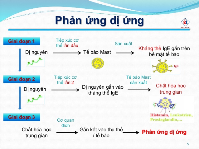 7. Các biến chứng có thể gặp từ dị ứng