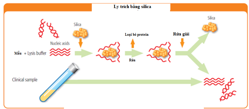 Hệ thống chiết pha rắn - Nguyên lý và Ứng dụng Hệ thống chiết pha rắn - Nguyên lý và Ứng dụng