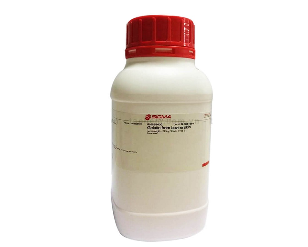 Gelatin Hãng Sigma Aldrich Tại Hà Nội và TP.HCM